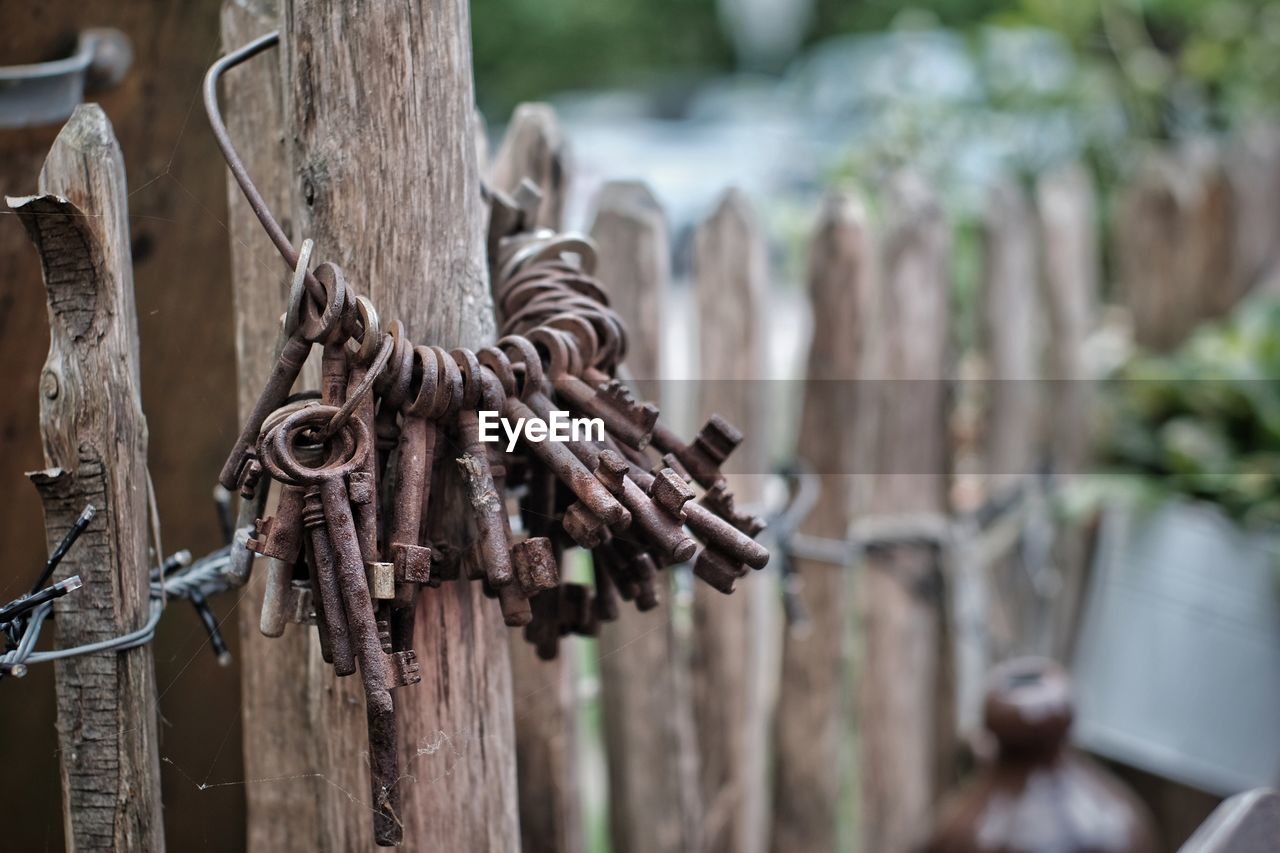 Close-up of rusty keys hanging on fence