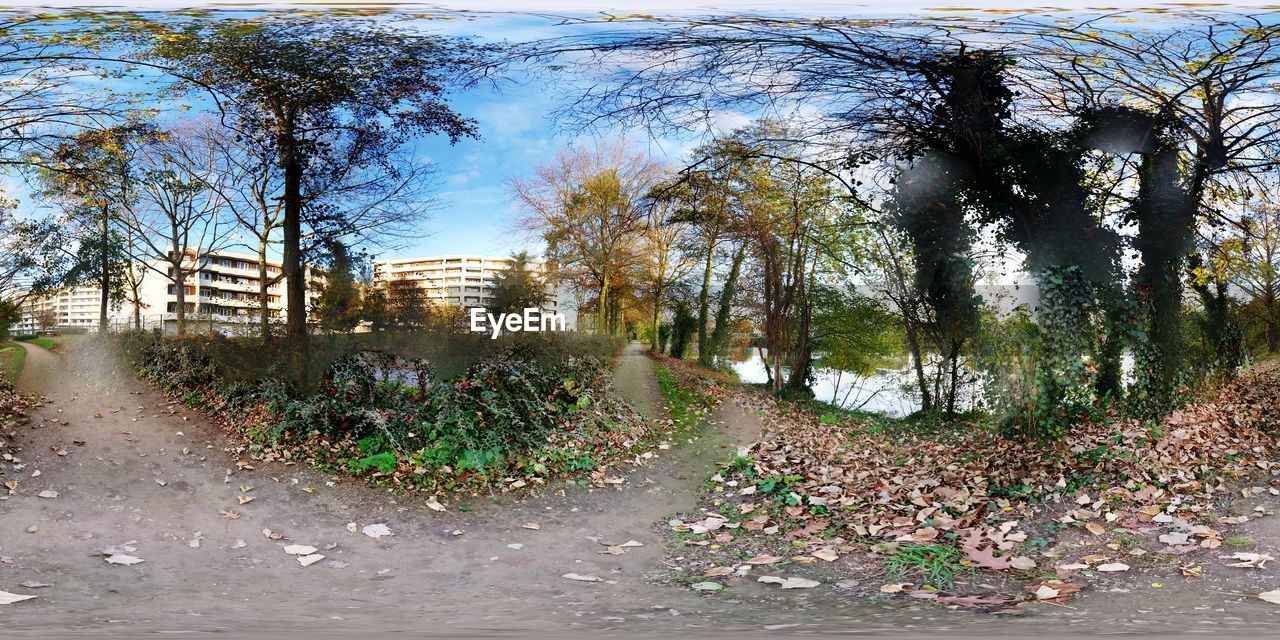 VIEW OF FOOTPATH WITH TREES IN BACKGROUND