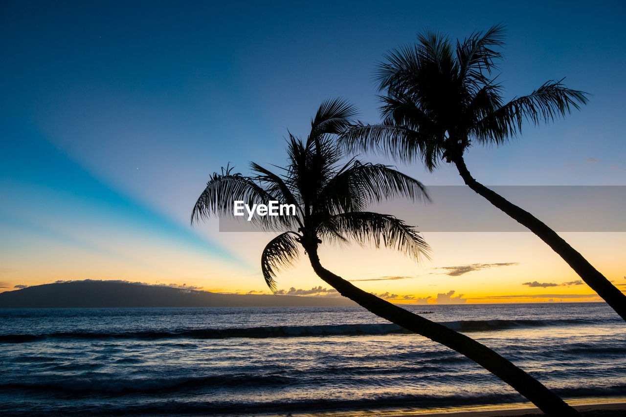 Silhouette palm tree by sea against sky at sunset