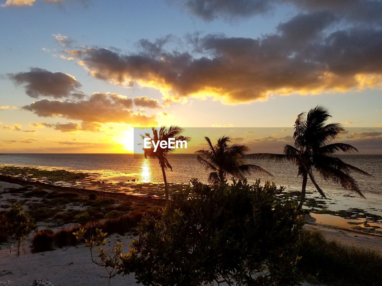 SCENIC VIEW OF SEA DURING SUNSET