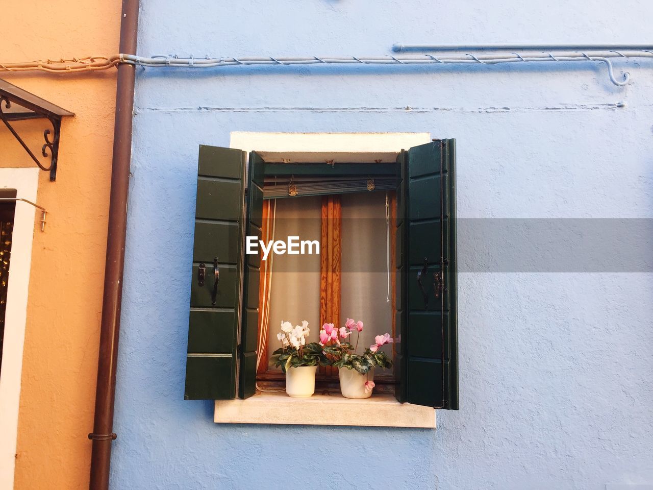 POTTED PLANTS ON WINDOW SILL OF HOUSE