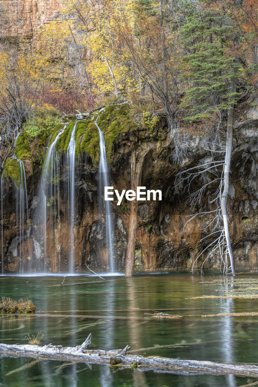 Scenic view of waterfall in forest