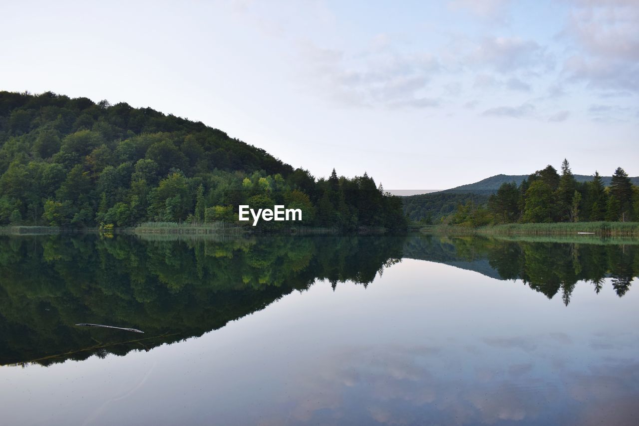 Scenic view of lake by trees against sky