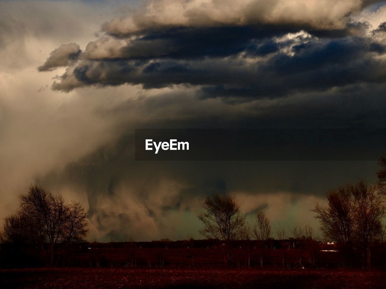 SCENIC VIEW OF DRAMATIC SKY OVER TREE