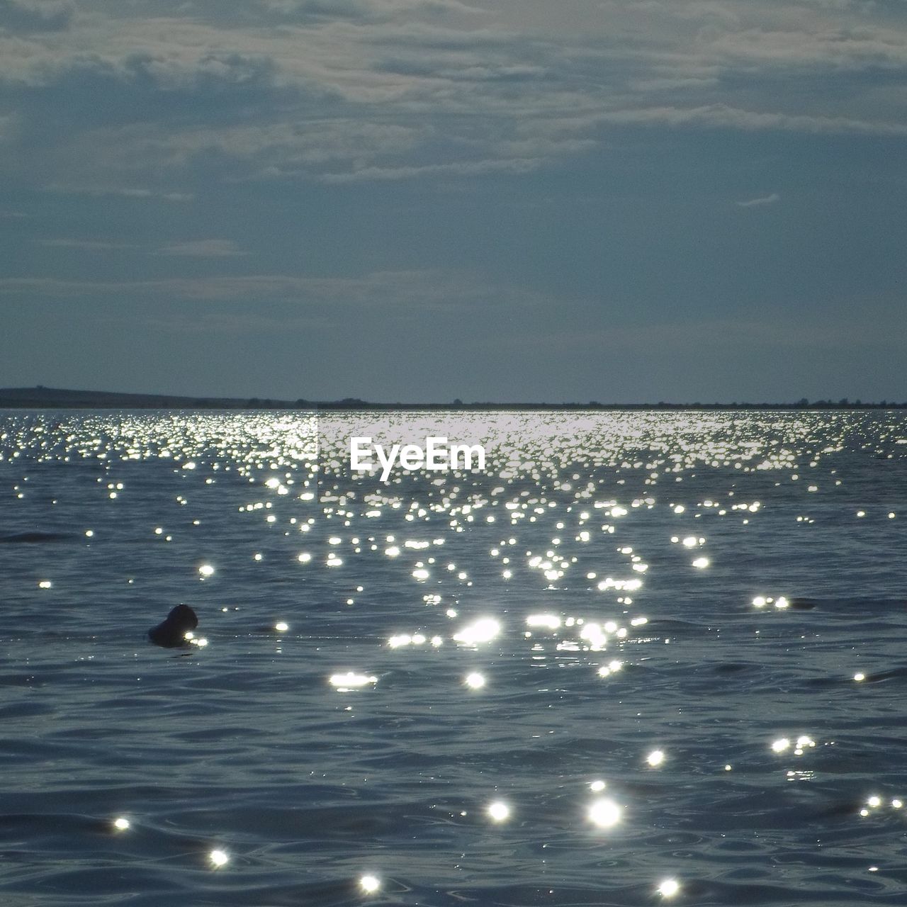 SWAN FLOATING ON WATER AGAINST SKY