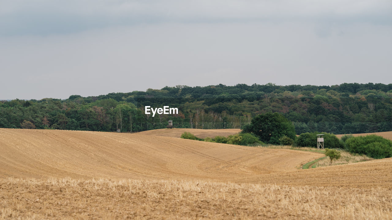 SCENIC VIEW OF FIELD AGAINST TREES