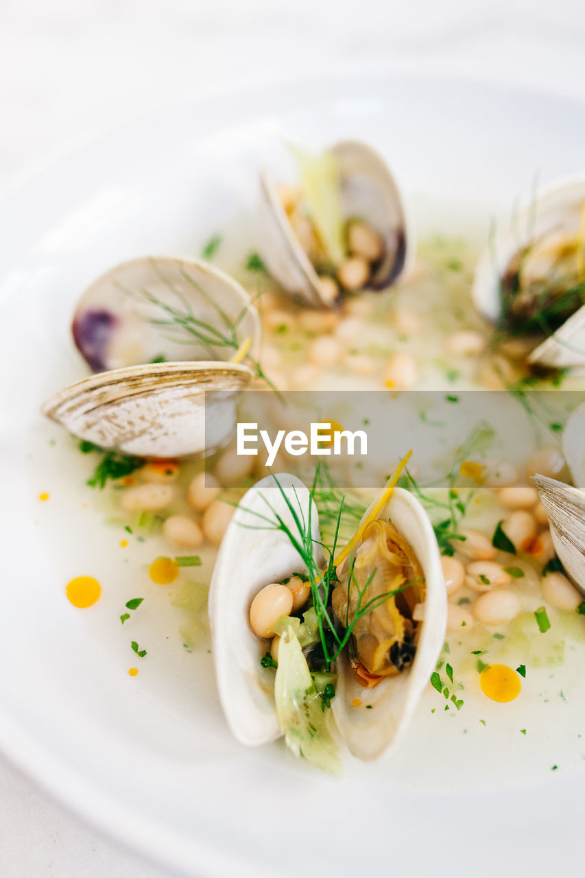 High angle view of seafood in plate