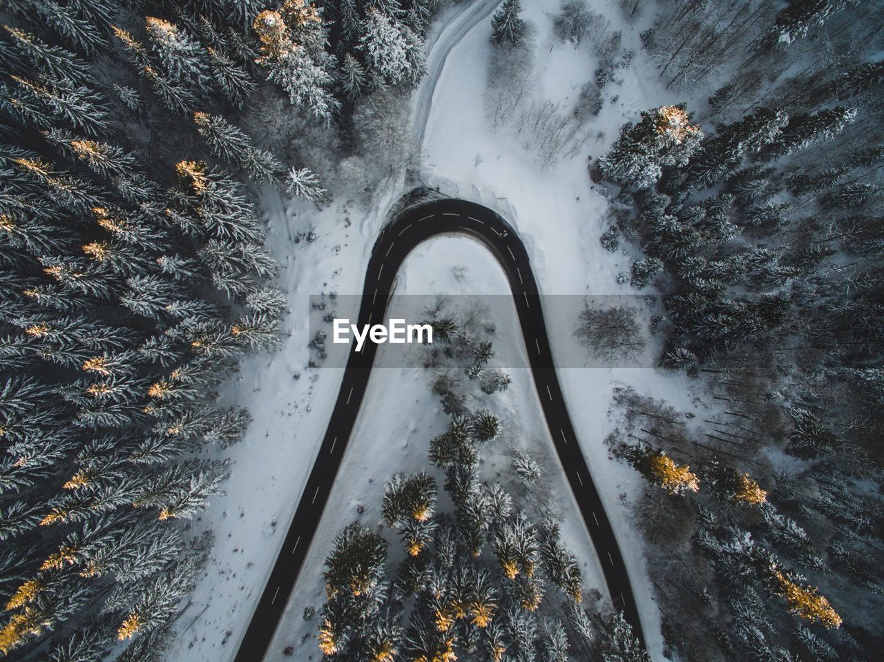 Aerial view of winding road through forest in winter