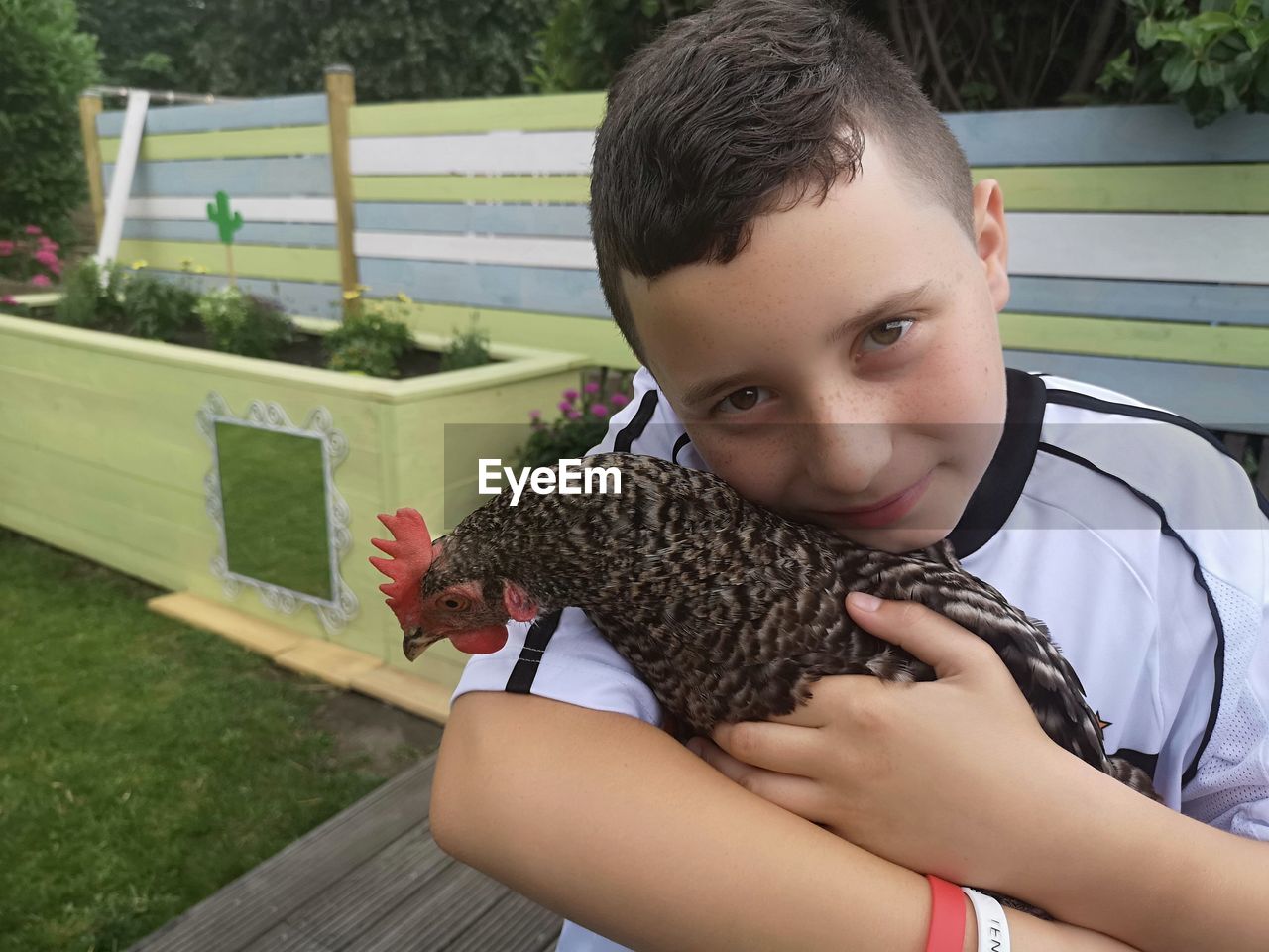 Portrait of cute boy holding chicken in park