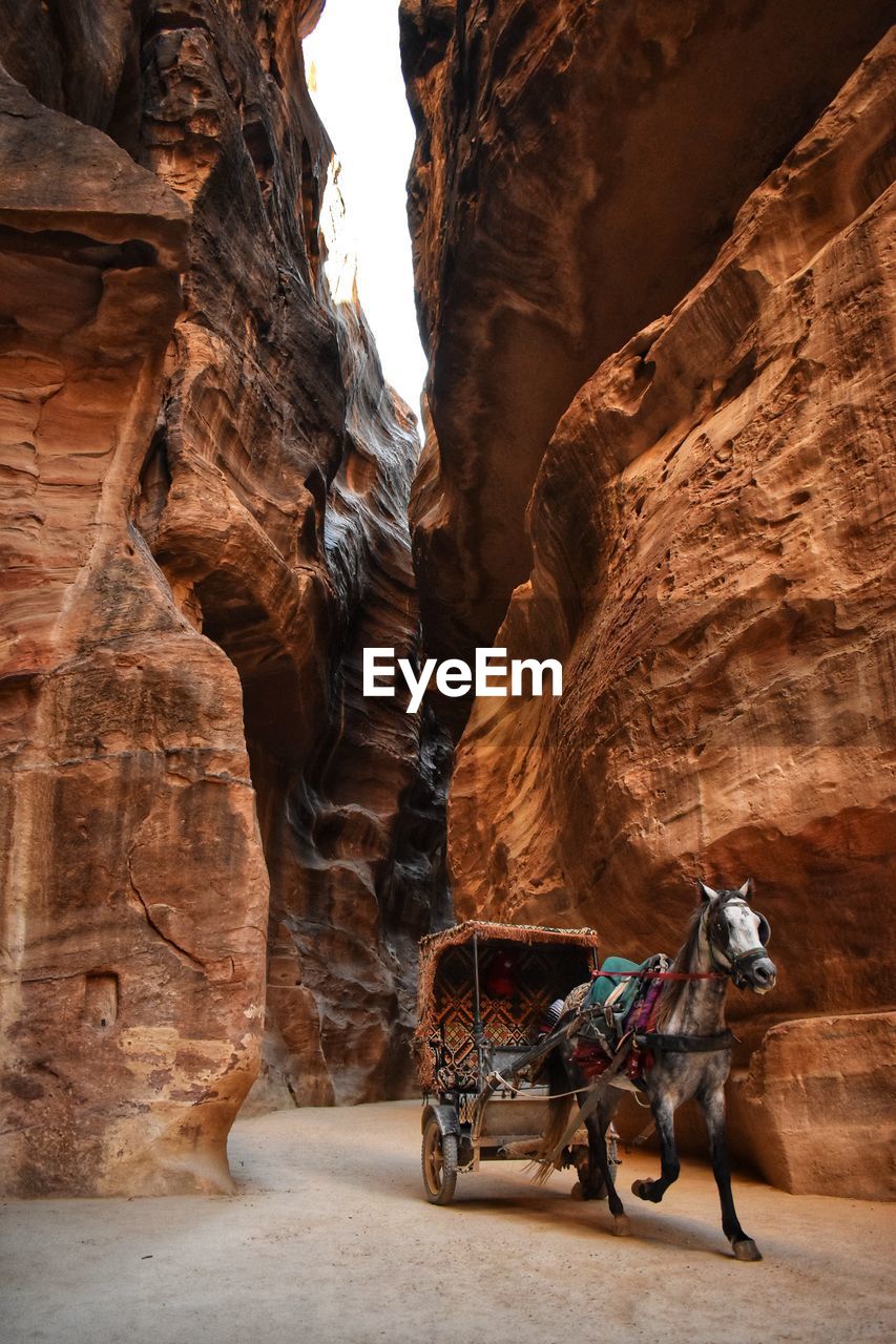 View of a horse carriage on rock