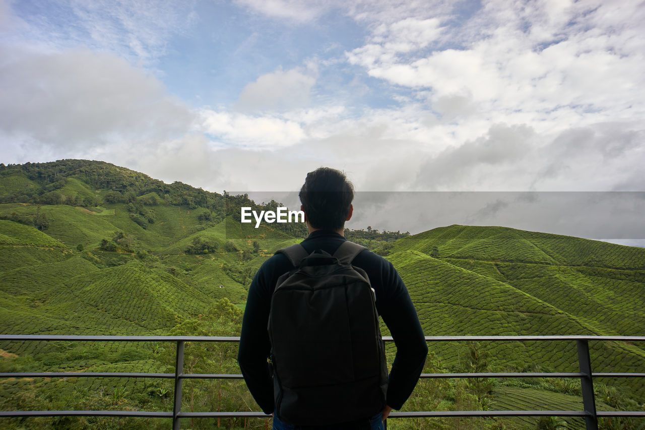 Rear view of man looking at tea plantation against sky