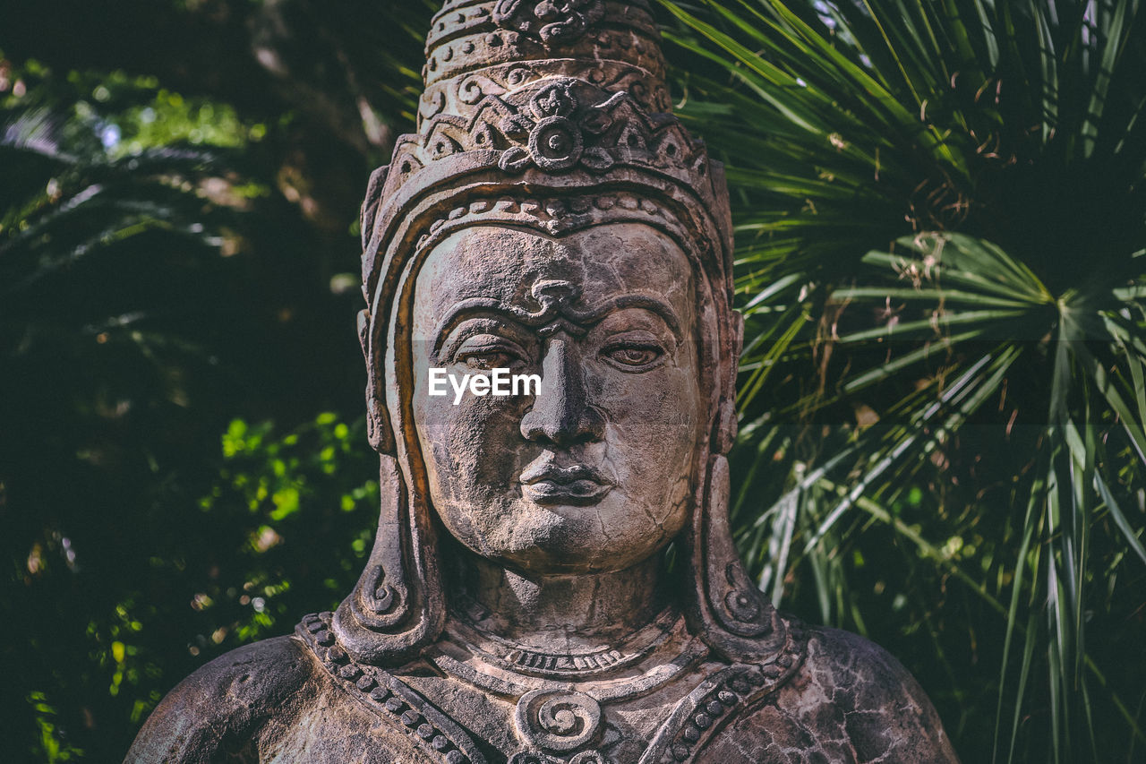 Close-up of buddha statue against trees