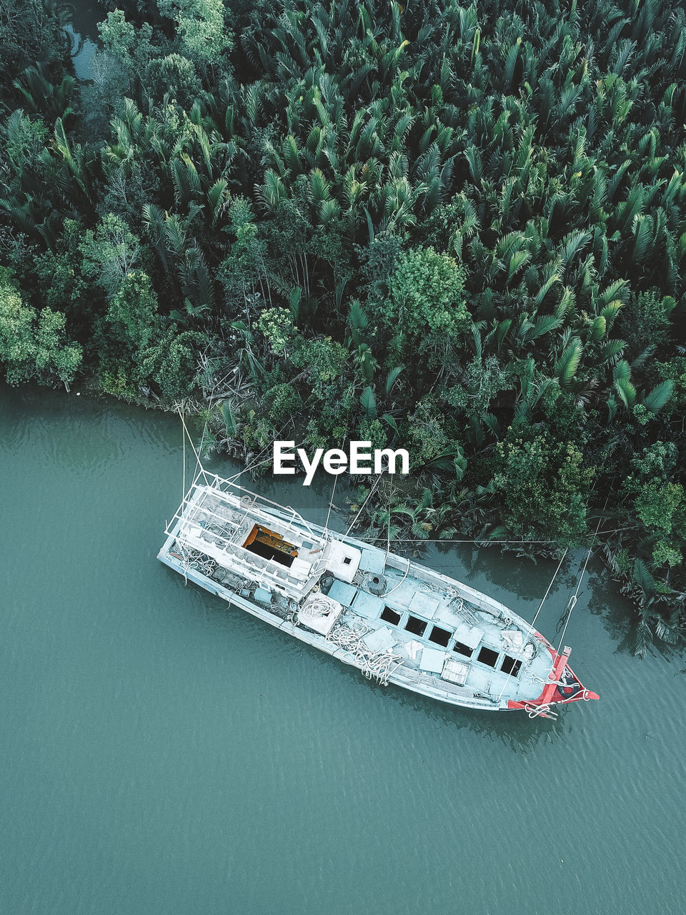 nautical vessel, water, transportation, mode of transportation, ship, plant, tree, vehicle, nature, boat, no people, high angle view, watercraft, green, day, growth, beauty in nature, travel, river, outdoors, tranquility, moored, aerial view, forest, scenics - nature, land, sailing