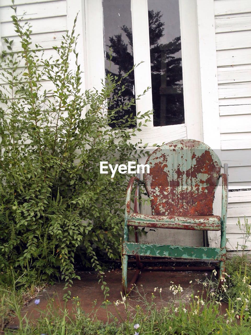 Abandoned empty chair and plants in front of window