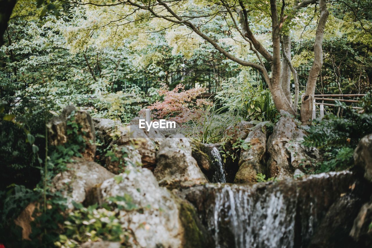 Scenic view of waterfall in forest