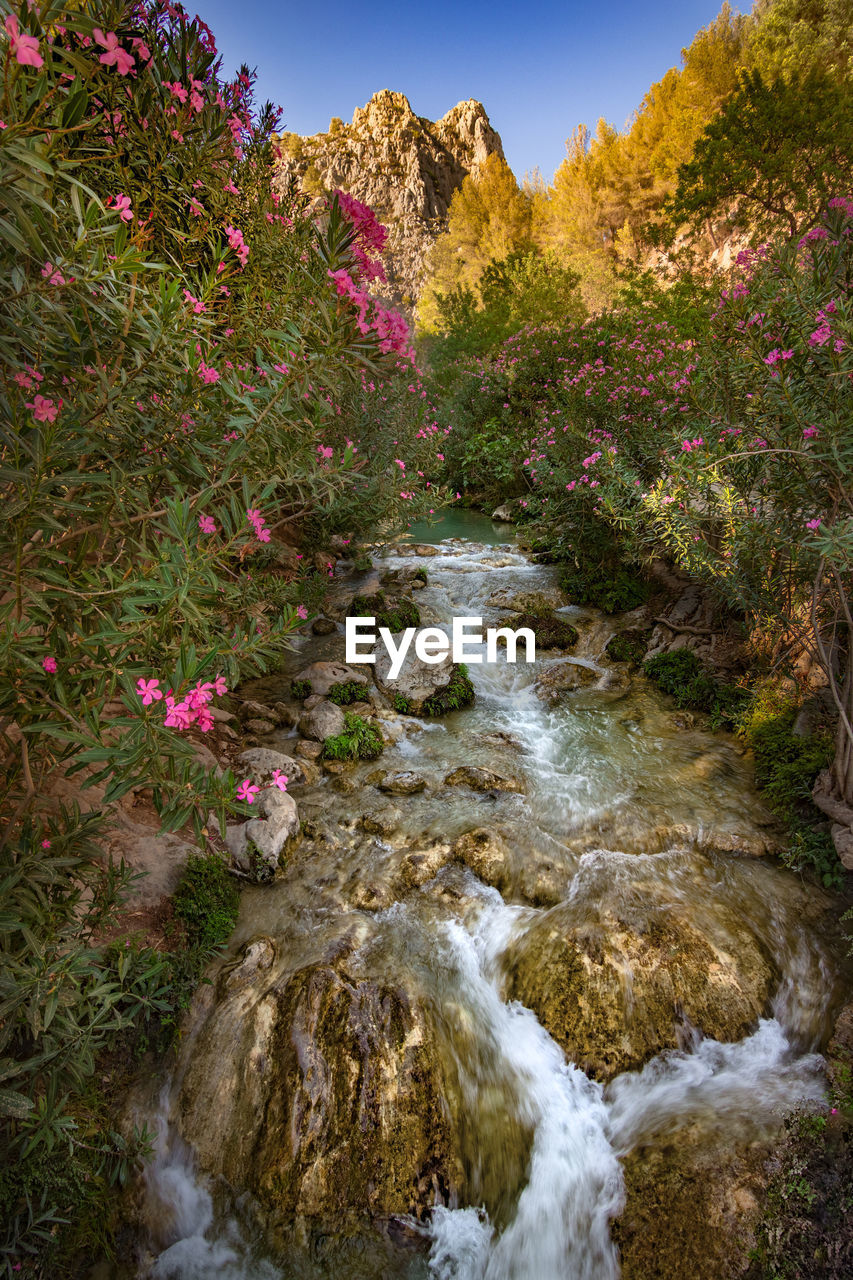 SCENIC VIEW OF STREAM FLOWING THROUGH ROCKS IN GARDEN