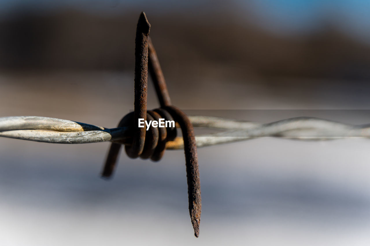 Close-up of barbed wire