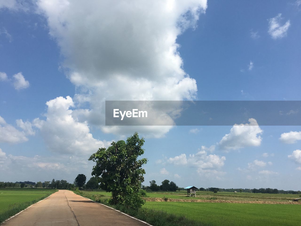 Road amidst field against sky