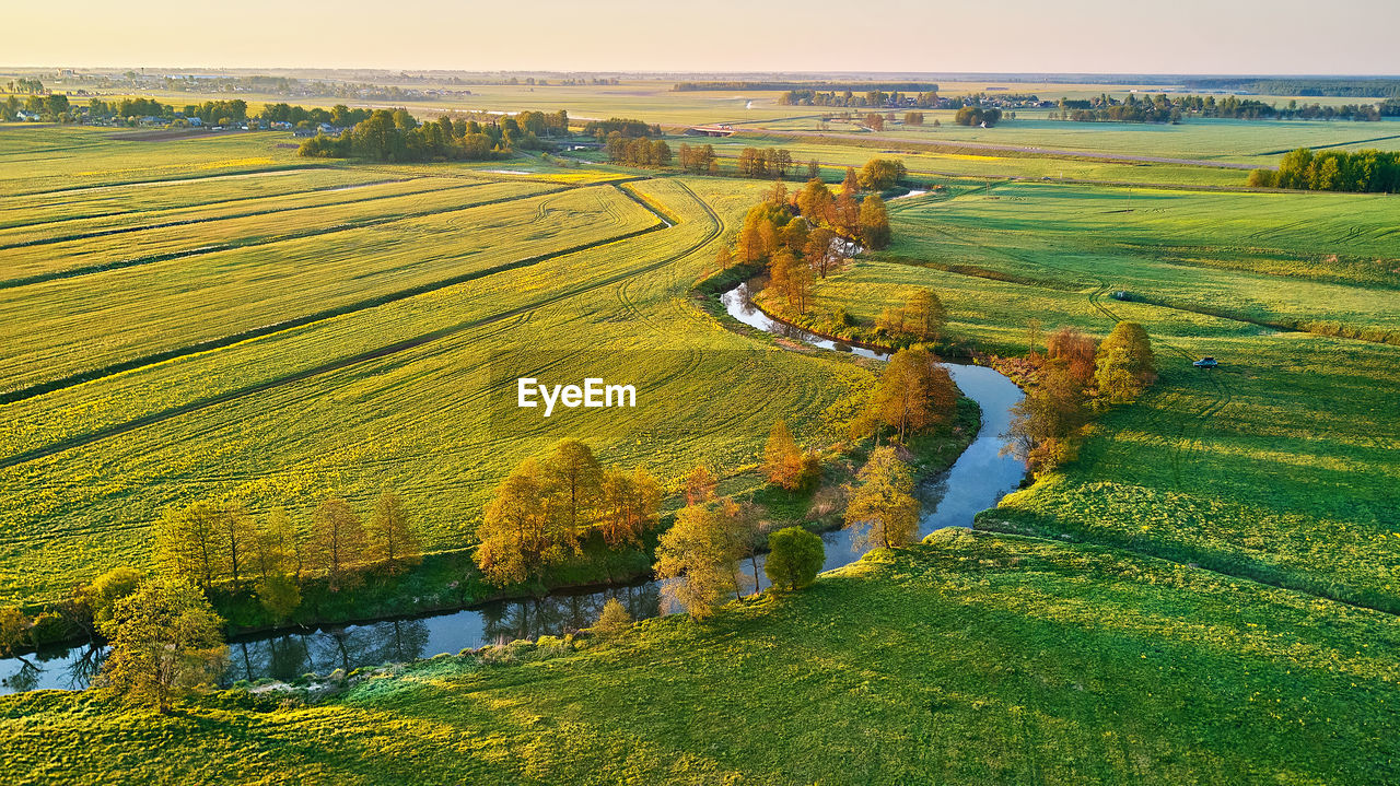 scenic view of field