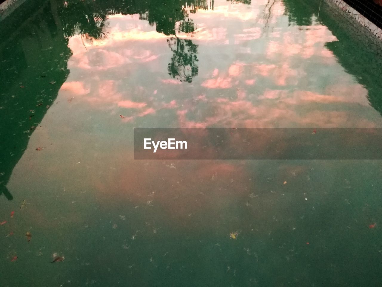 REFLECTION OF SKY AND WATER ON GRASS