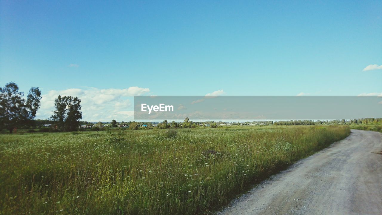 AGRICULTURAL FIELD AGAINST SKY