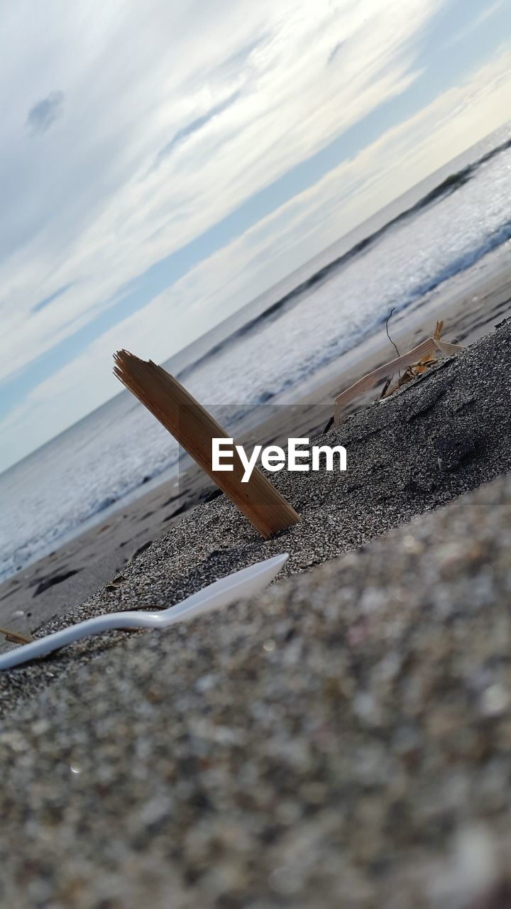 CLOSE-UP OF LIZARD ON SHORE AT BEACH