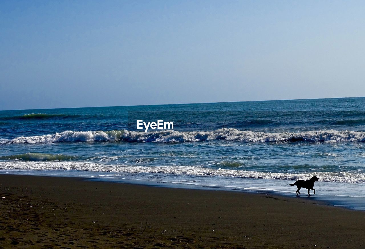 MAN STANDING AT BEACH AGAINST CLEAR SKY