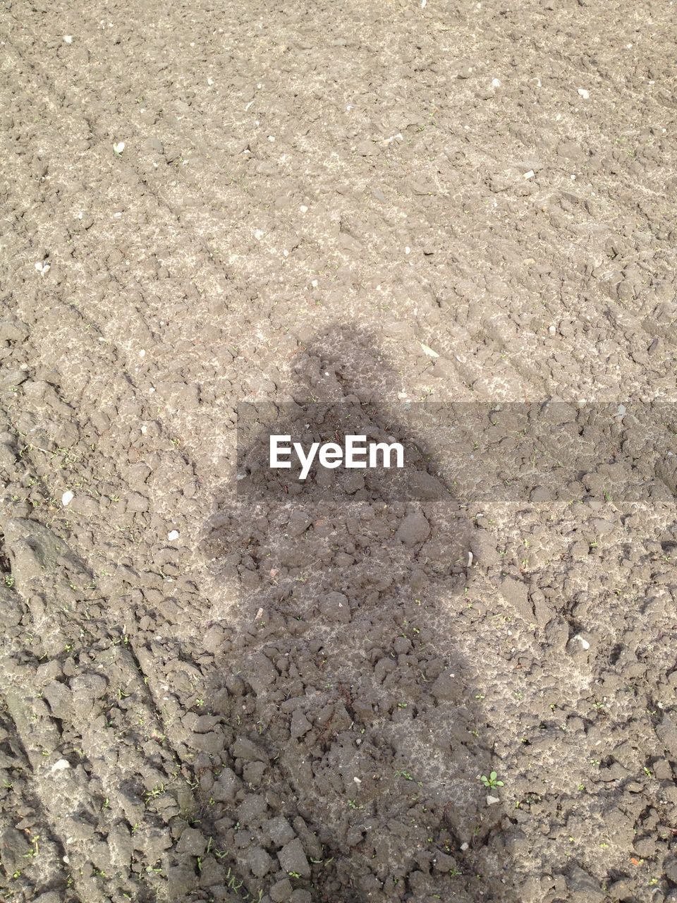 Shadow of person on plowed field