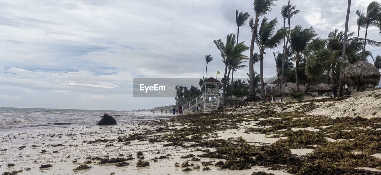 land, sky, beach, coast, palm tree, sea, cloud, shore, nature, tropical climate, water, tree, plant, sand, beauty in nature, scenics - nature, ocean, environment, day, tranquility, outdoors, no people, tranquil scene, travel destinations, rock, body of water, coconut palm tree, travel, landscape, non-urban scene