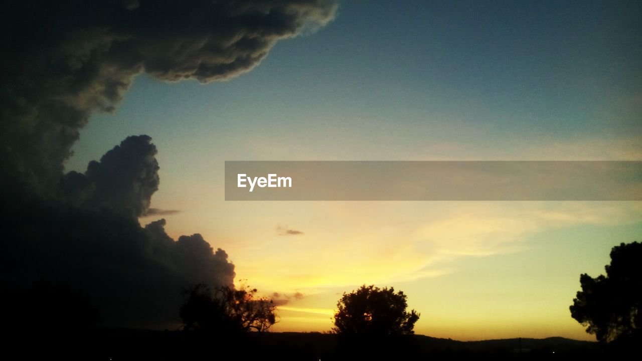 SILHOUETTE OF TREES AT SUNSET