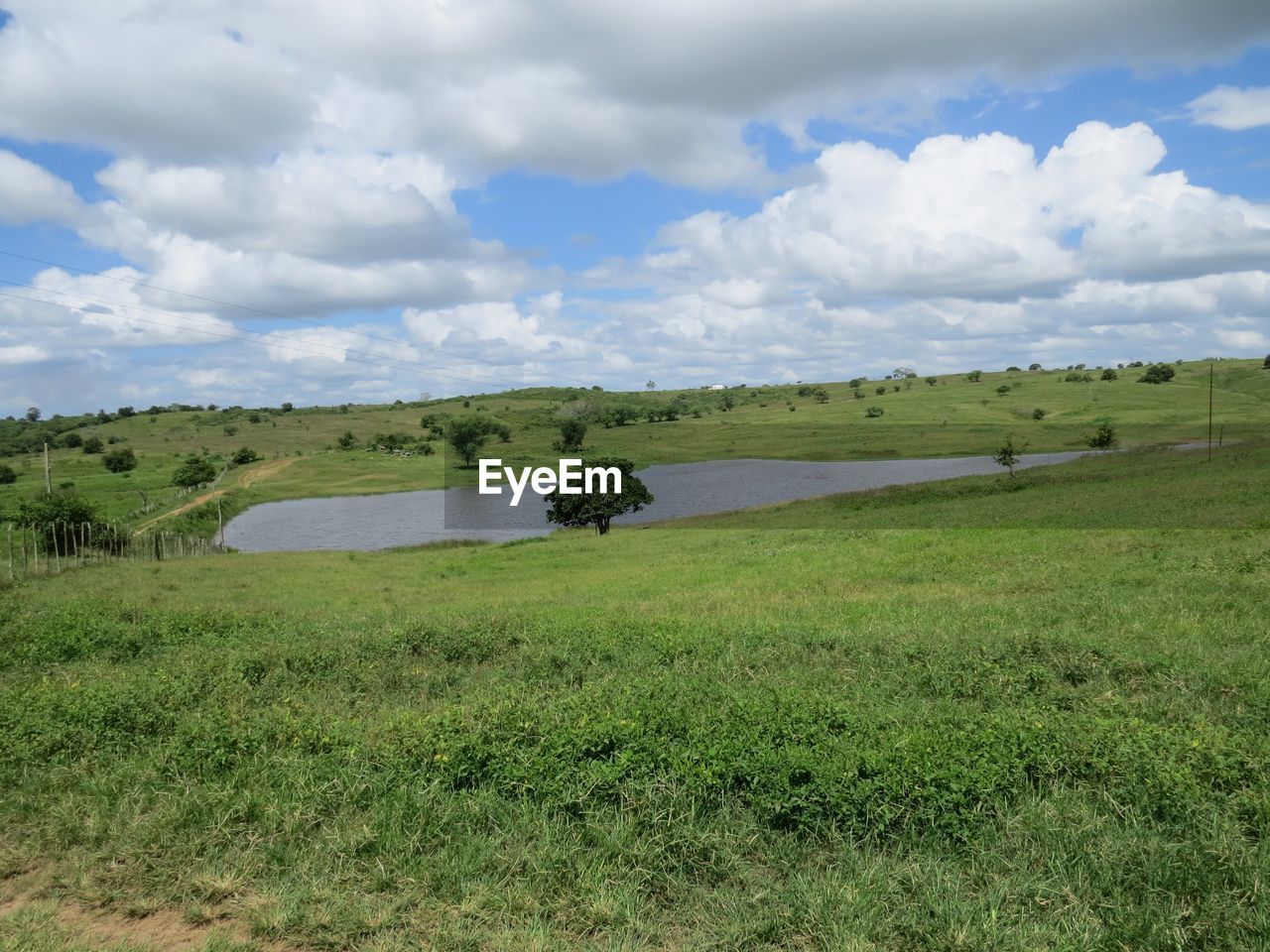 VIEW OF GRASSY FIELD AGAINST CLOUDY SKY