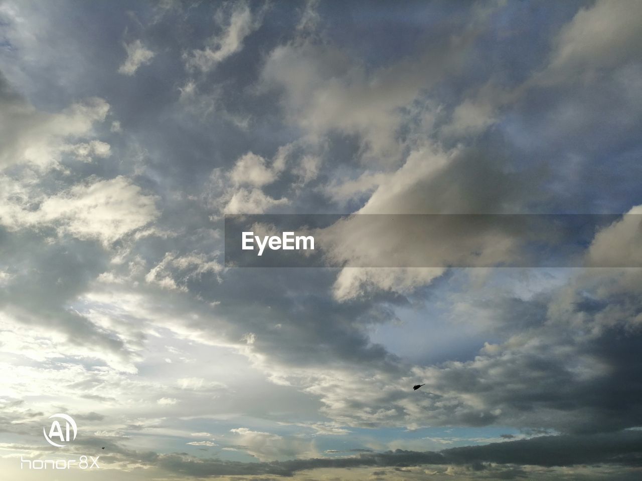 LOW ANGLE VIEW OF BIRDS FLYING AGAINST SKY