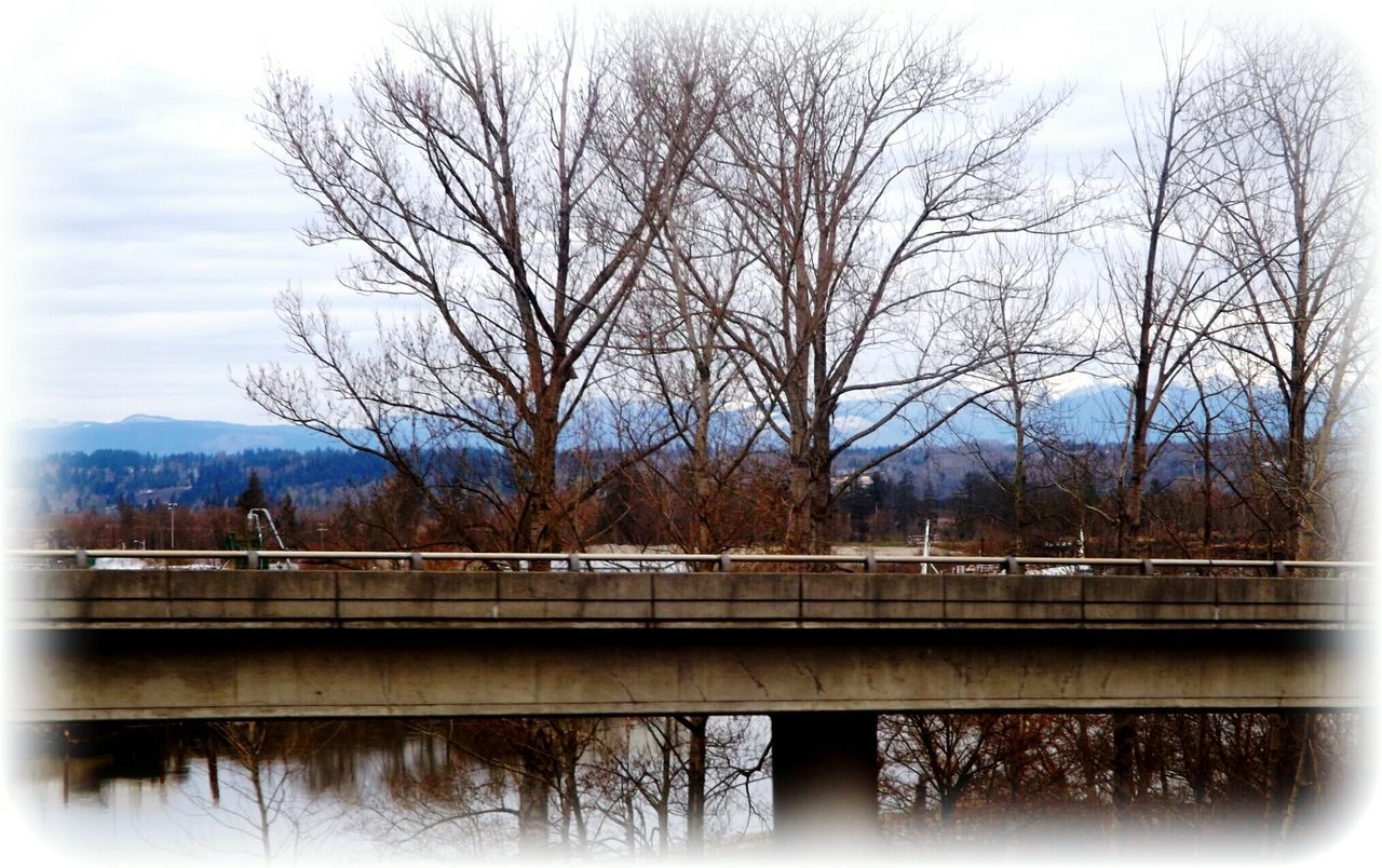 REFLECTION OF TREES IN RIVER