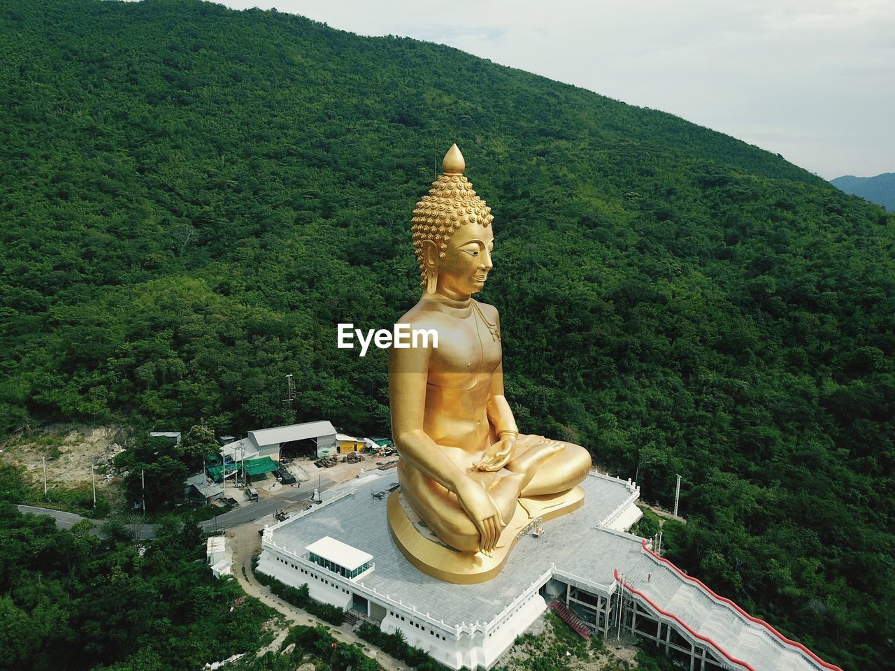 STATUE OF BUDDHA AGAINST TREES
