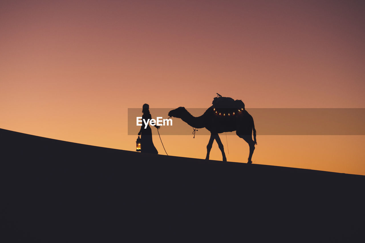 Silhouette woman with camel walking at sahara desert against clear sky