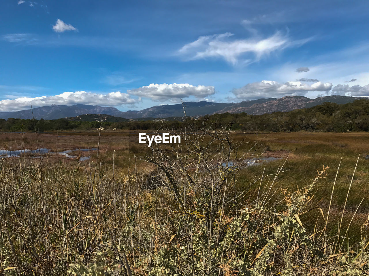 SCENIC VIEW OF LAND AGAINST SKY