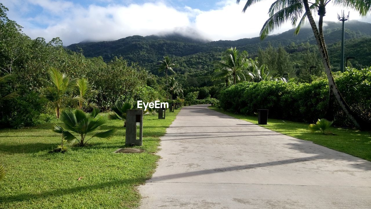 Footpath passing through landscape