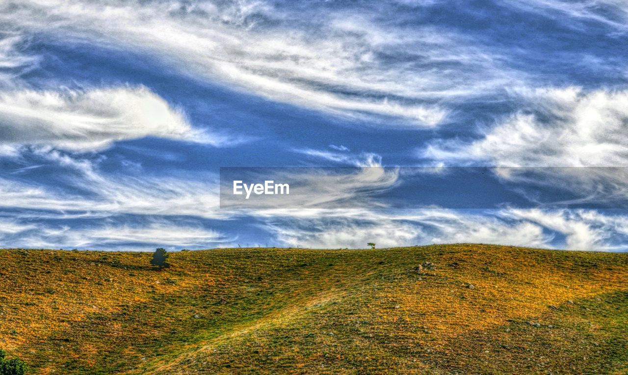 Scenic view of field against sky