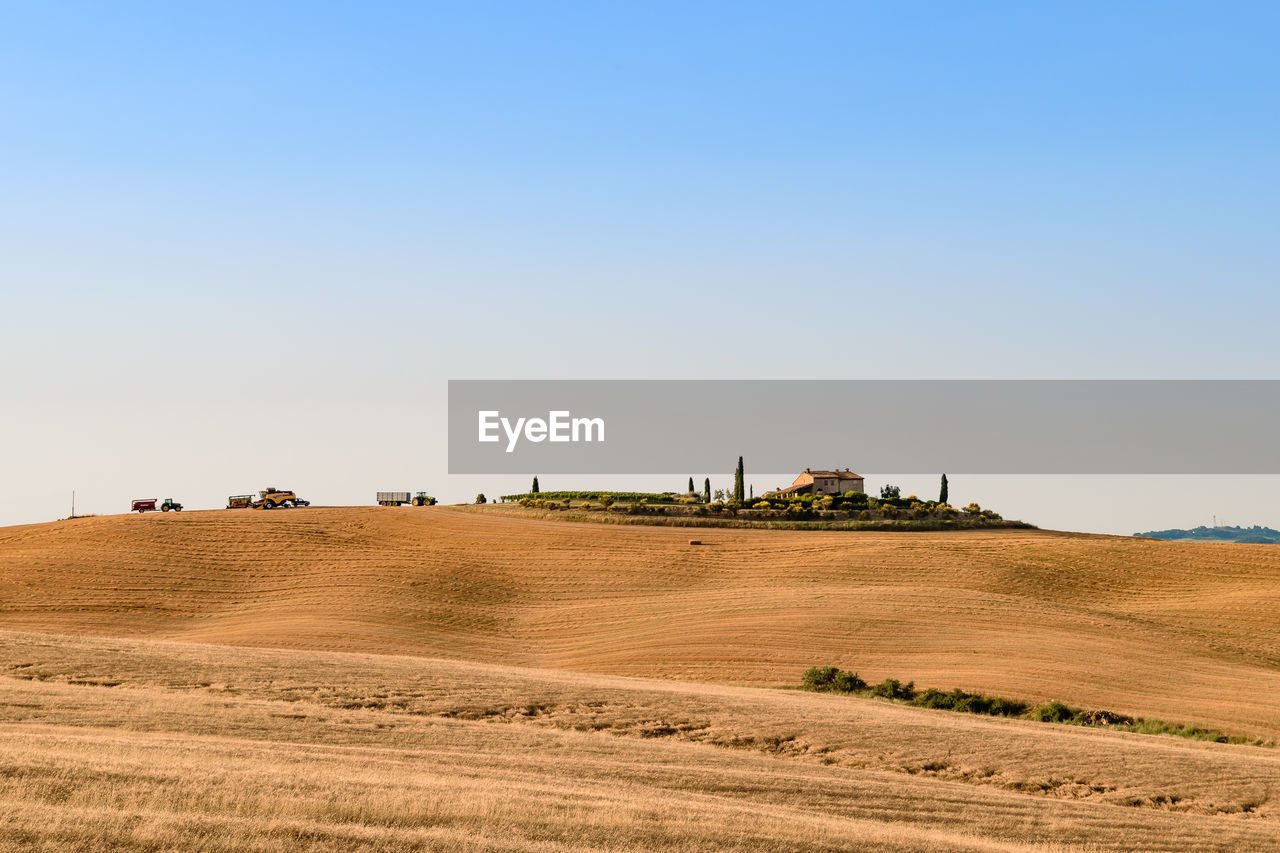 Scenic view of agricultural field against clear sky