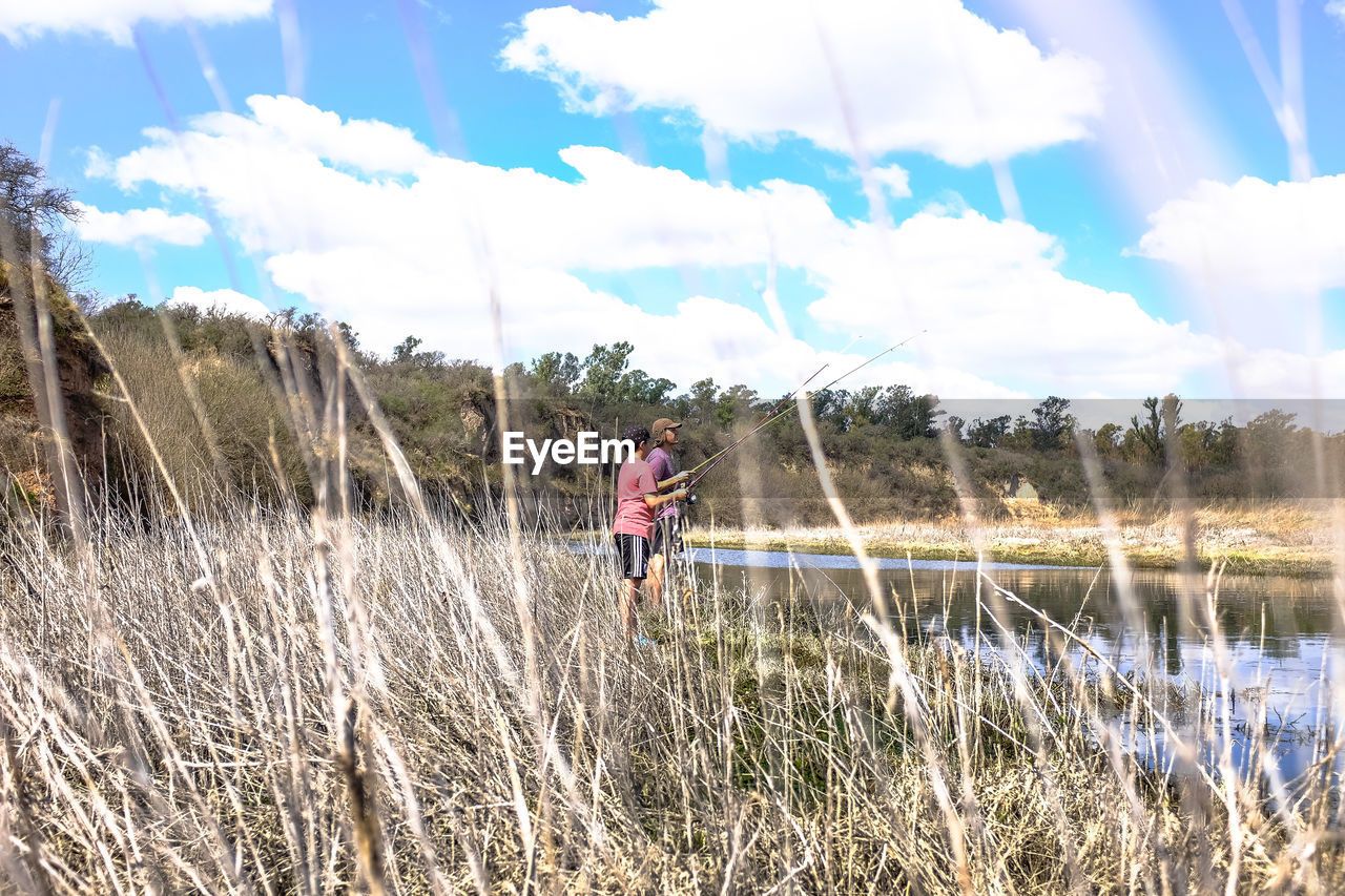 REAR VIEW OF PERSON STANDING ON GRASS BY TREES AGAINST SKY