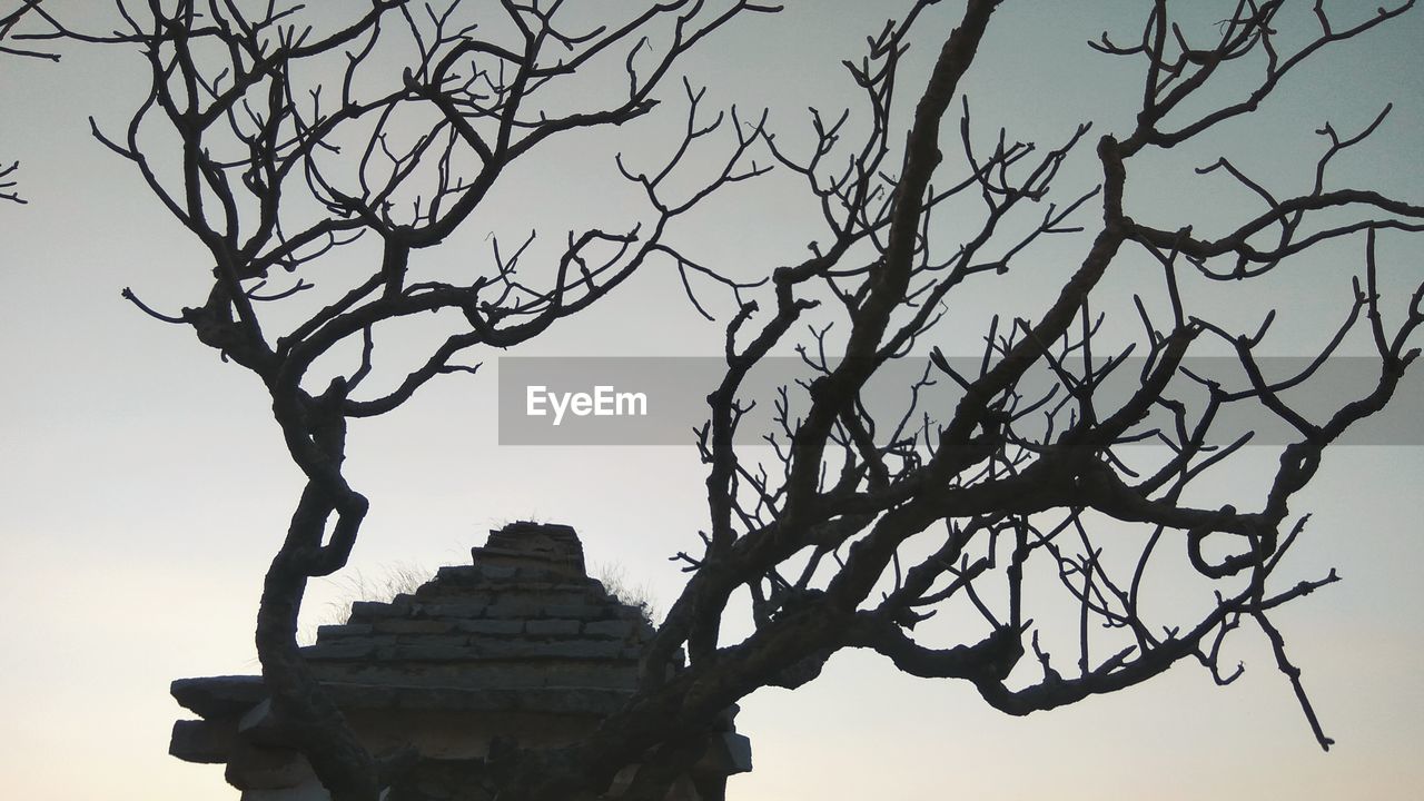 LOW ANGLE VIEW OF SILHOUETTE STATUE AGAINST BARE TREE
