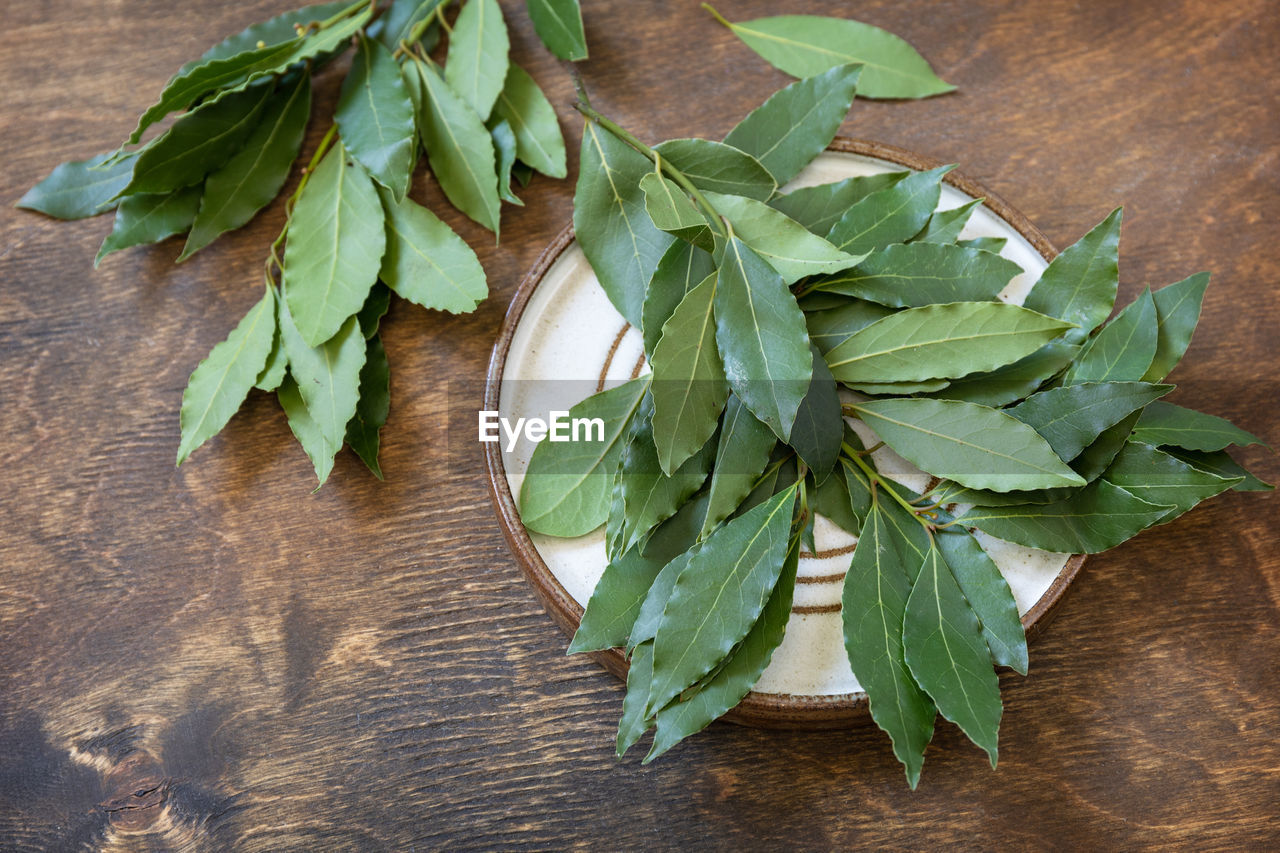 leaf, plant part, food and drink, green, plant, food, wood, herb, freshness, produce, wellbeing, high angle view, indoors, no people, flower, table, basil, nature, healthy eating, still life, directly above, sage, ingredient, close-up, vegetable