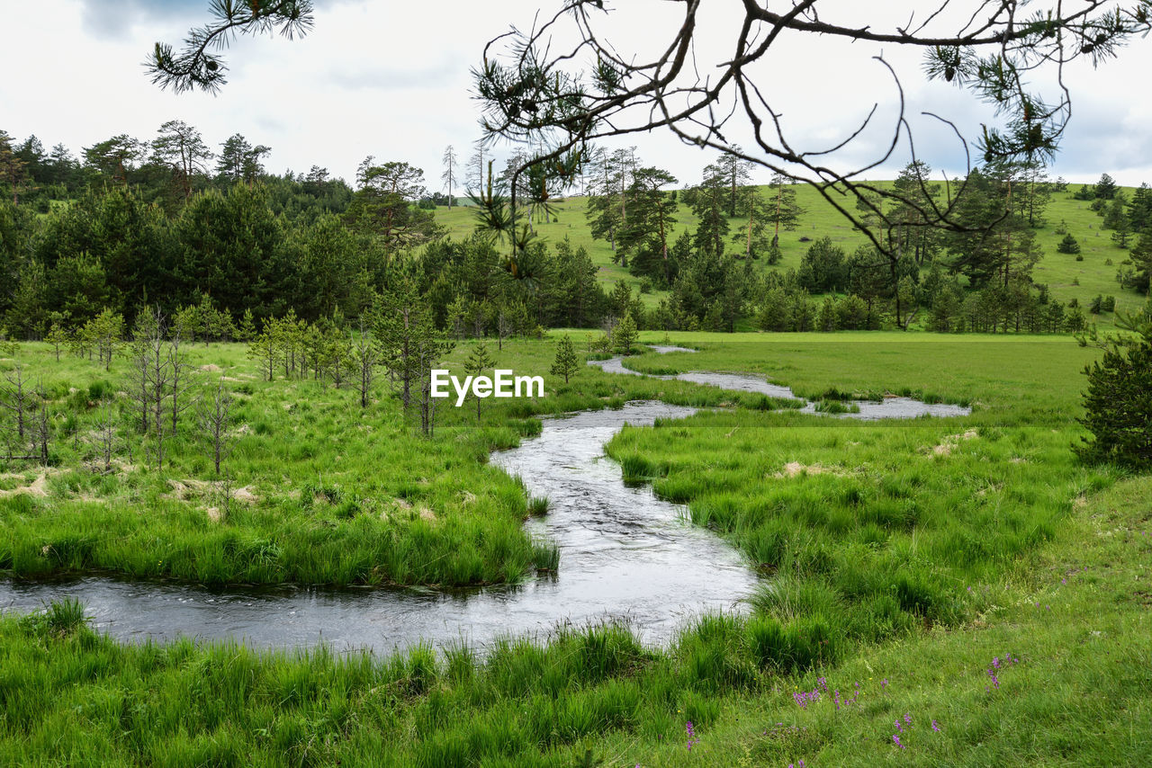 Scenic view of creek against sky