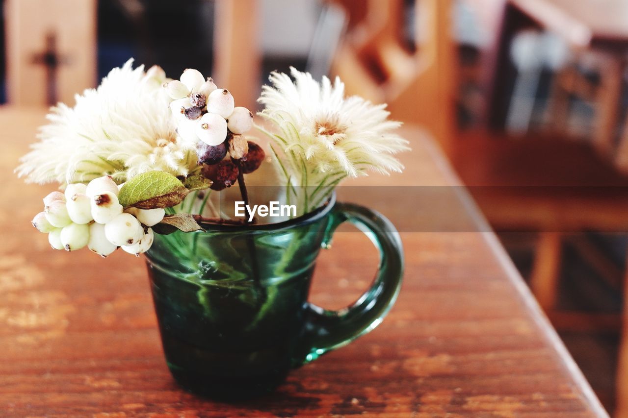 CLOSE-UP OF POTTED PLANT ON TABLE