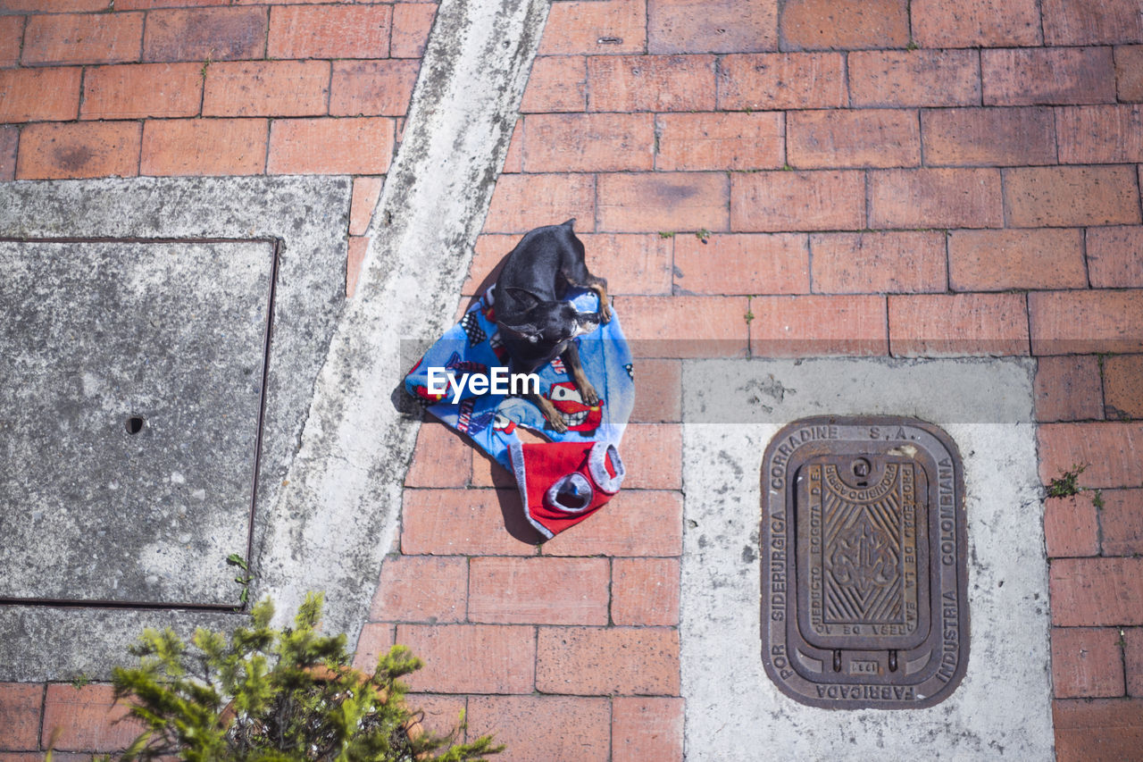 HIGH ANGLE VIEW OF PERSON ON WALL