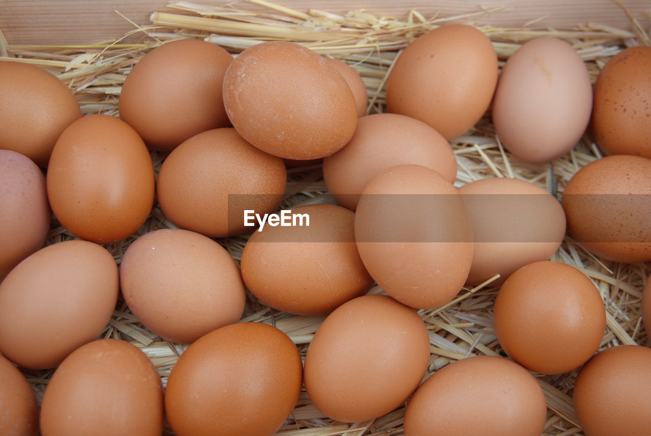 High angle view of brown eggs on straw