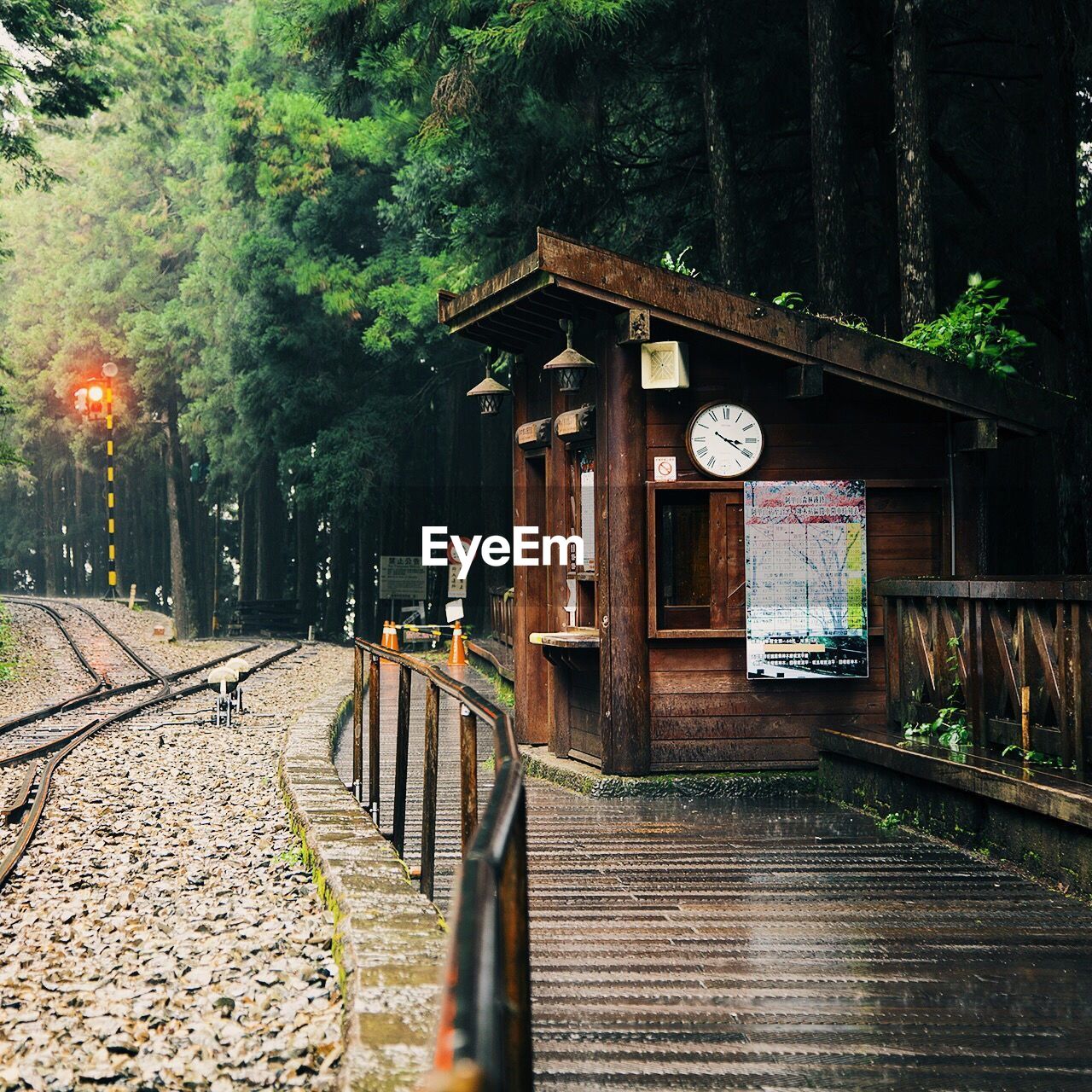 Trees growing by railroad station