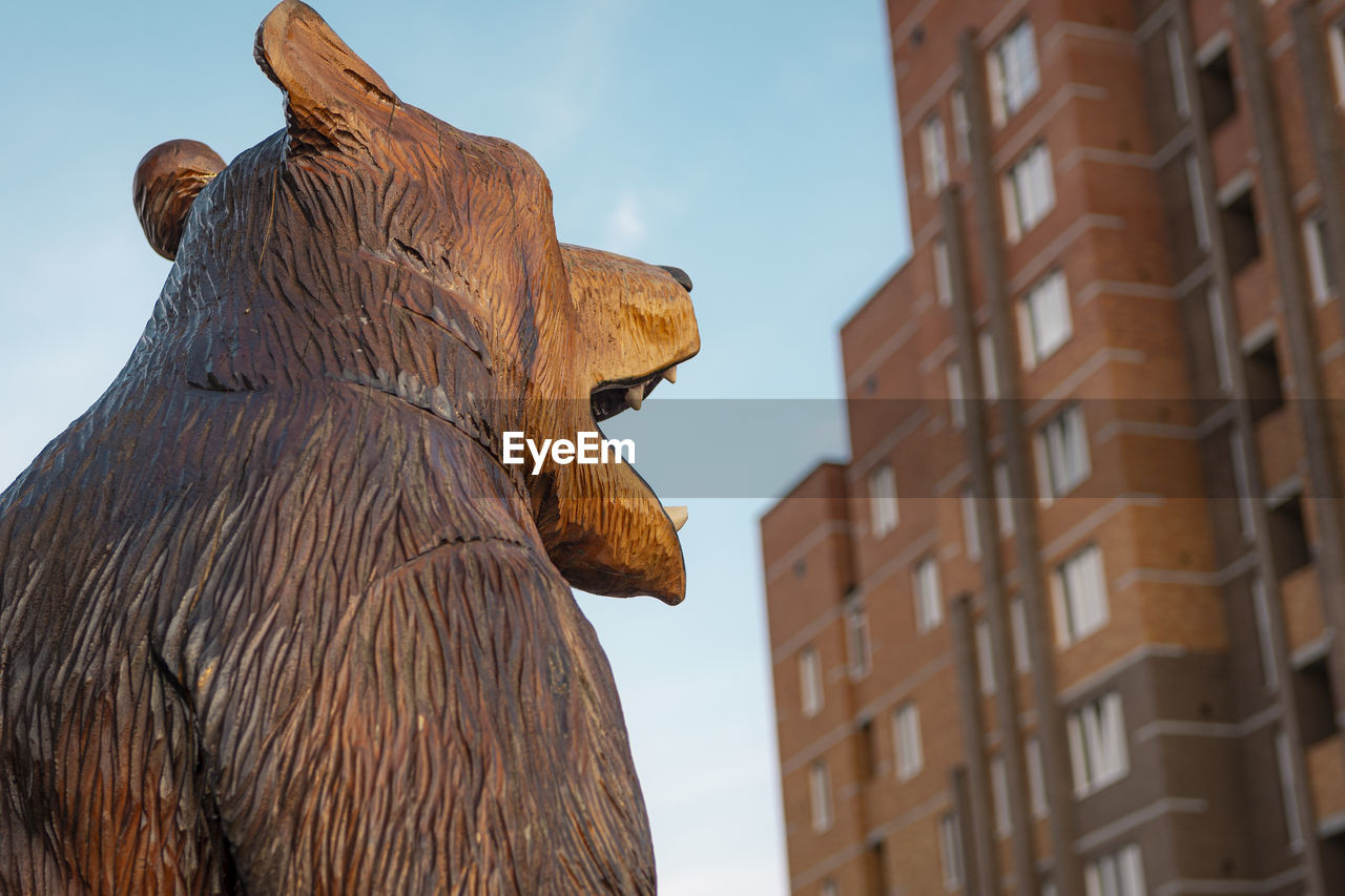 Head of wooden bear on background of apartment house