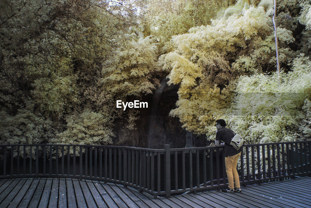 MAN STANDING ON FOOTBRIDGE BY TREES