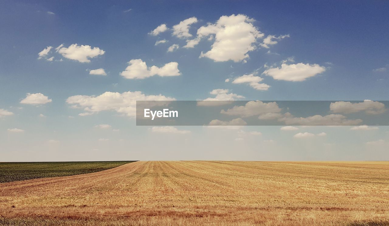 SCENIC VIEW OF FARMS AGAINST SKY